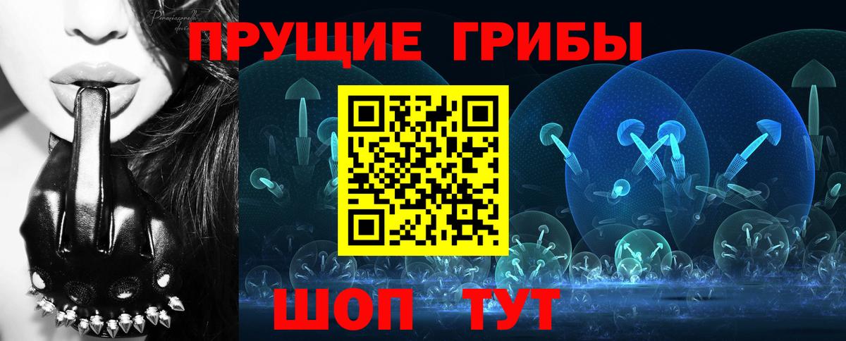 Псилоцибиновые грибы Cubensis  продажа наркотиков  Холмск  Вход с VPN 